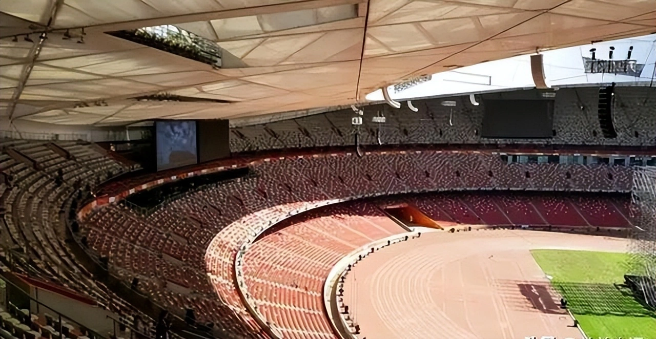 pop, 亿打造的鸟 pop, 亿打造的鸟